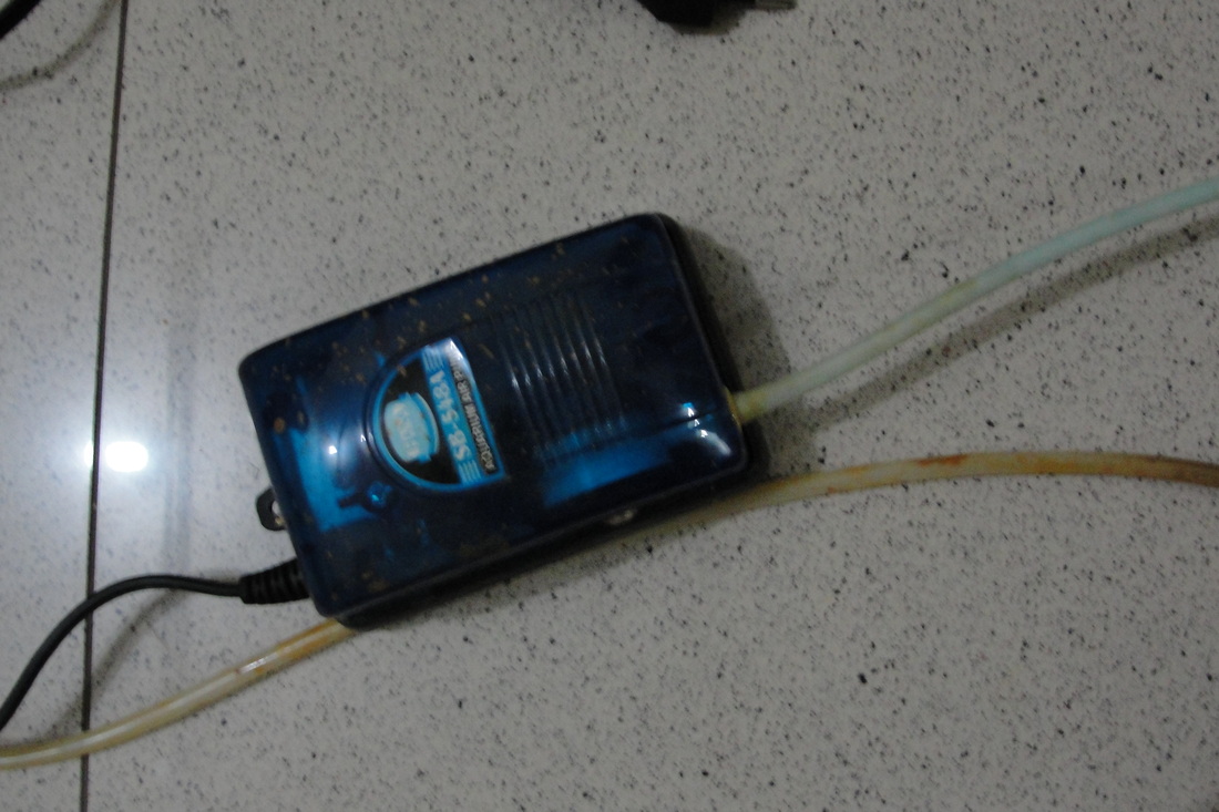 Aquarium pump